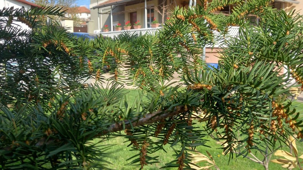 Kata Vendégház Noszvaj (1)