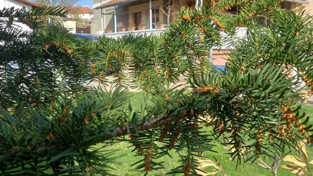 Kata Vendégház Noszvaj (1)