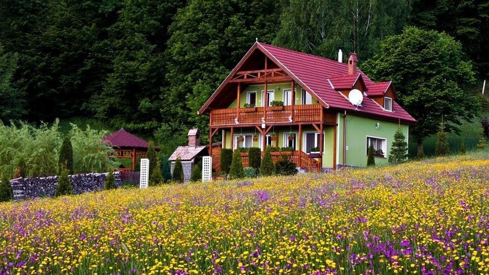 Casa Sólyomkő Bixad (1)