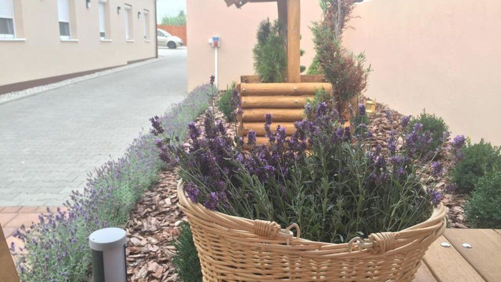 Levendula Vendégház Győr (1)