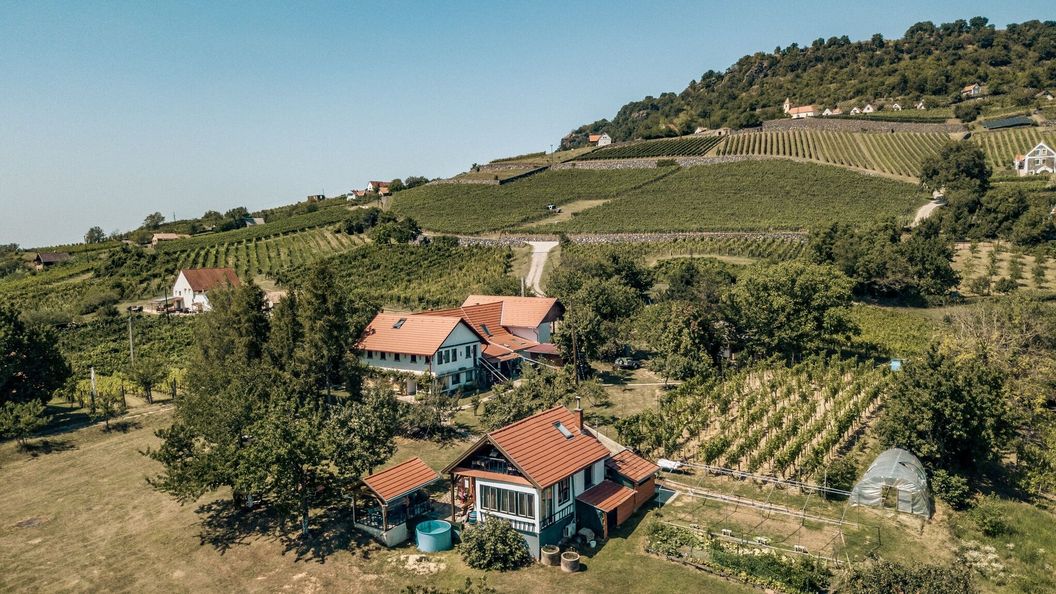 Varsádi Vendégház és Borbirtok Somlóvásárhely (1)