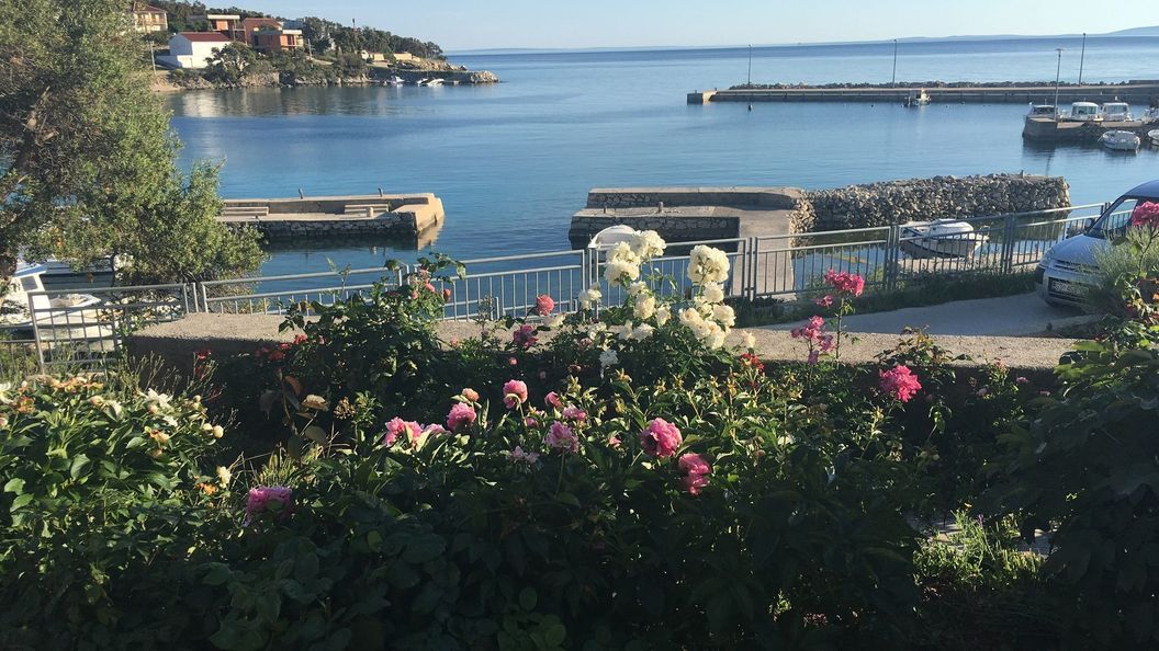 Apartments Suzana Jakisnica (1)