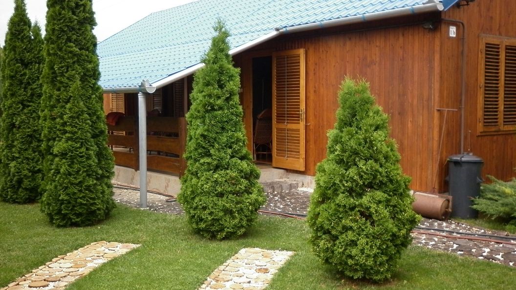 Thermal Apartman Berekfürdő (1)