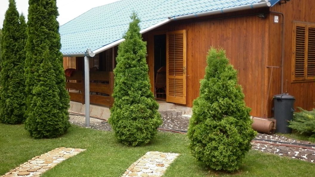 Thermal Apartman Berekfürdő (1)