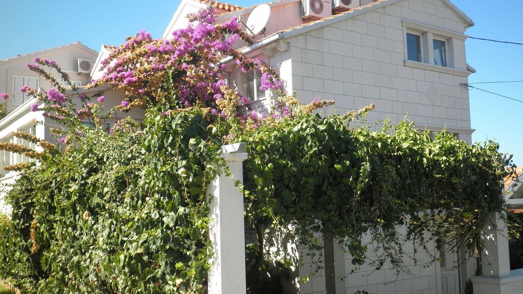 Apartmani Aldica Supetar (1)