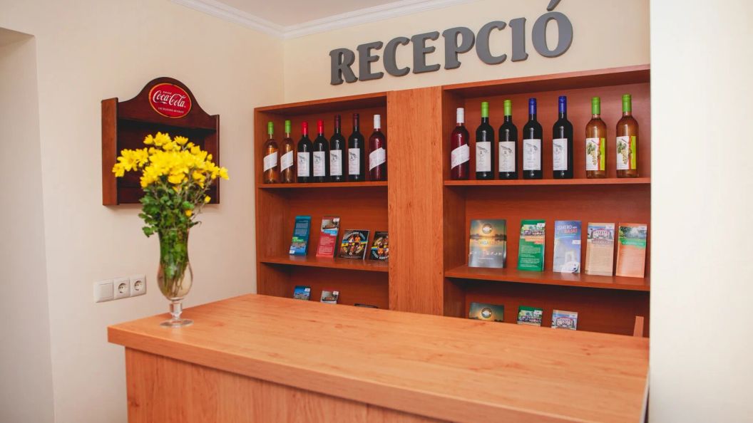 Vidákovics Panzió Baja (1)