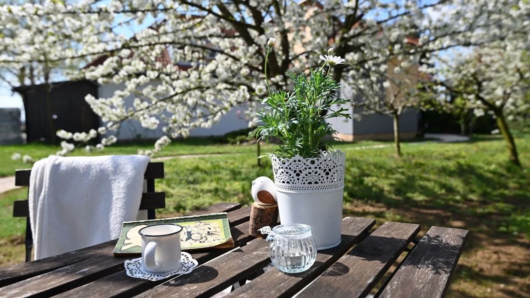 Jázmin Vendégház és Apartman Pogány (1)