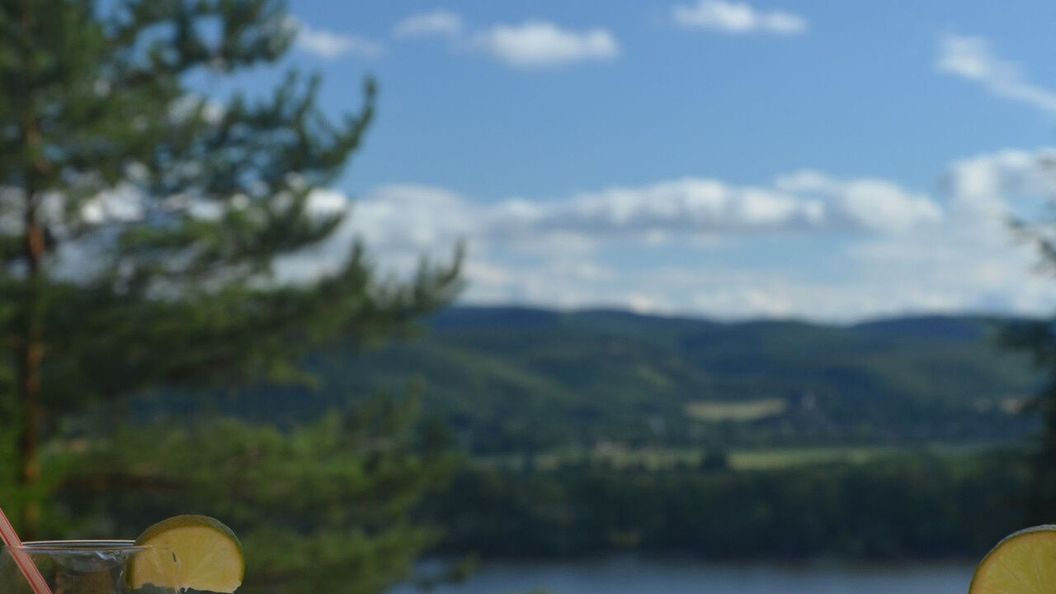 Őzgida Nyaralóház Zebegény (1)