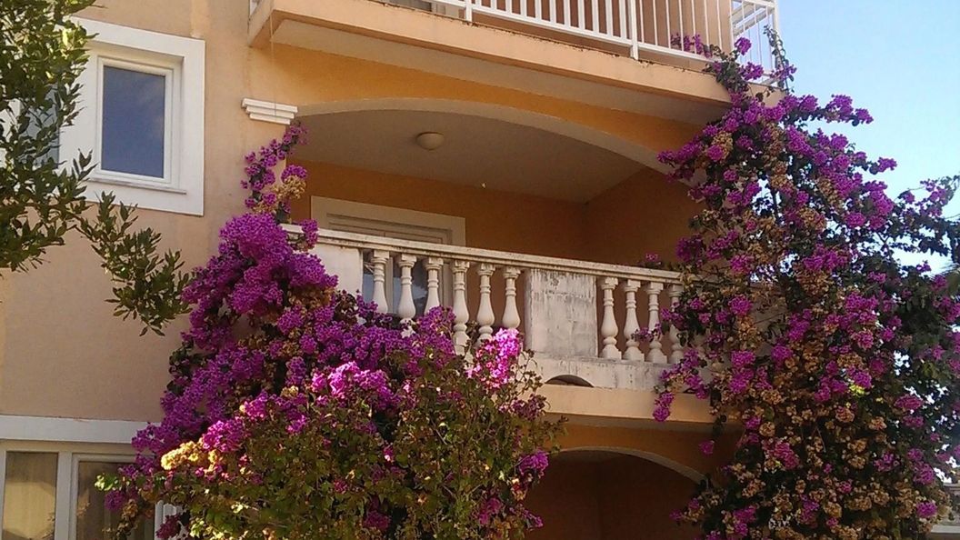 Apartman Dantin Kožino (1)