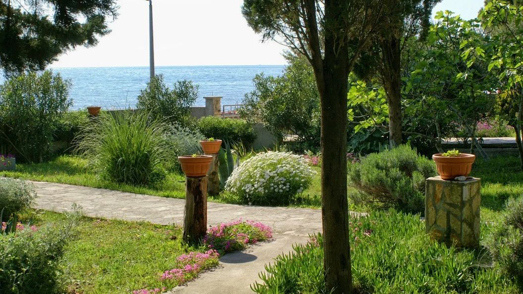 Apartmanok A Tenger Mellett Novalja, Pag - 4052 Novalja (1)