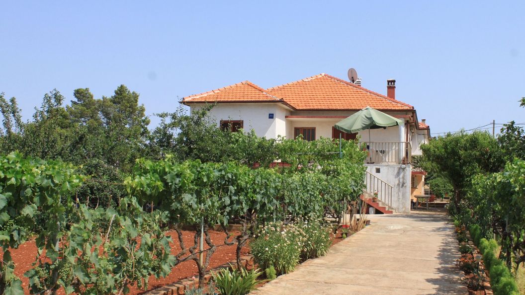 Apartmanok A Tenger Mellett Ugljan - 8257 (1)