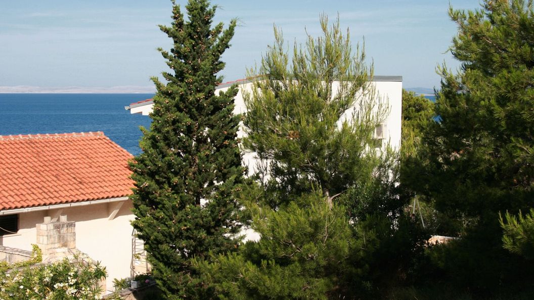 Apartmanok A Tenger Mellett Murter - 5078 (1)