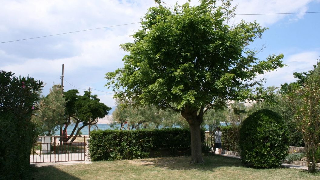 Apartmanok A Tenger Mellett Pag - 6413 (1)