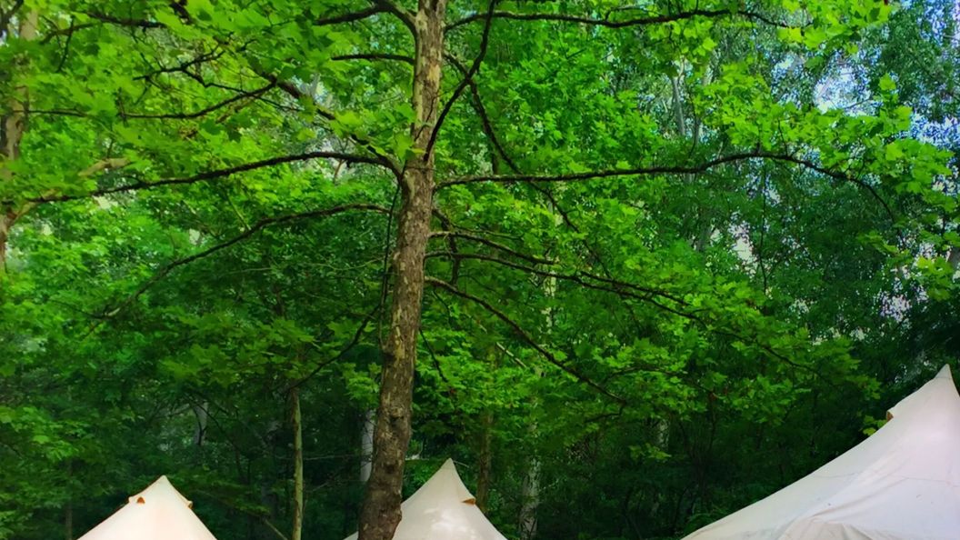 Szeri Kemping Faház Ópusztaszer (1)