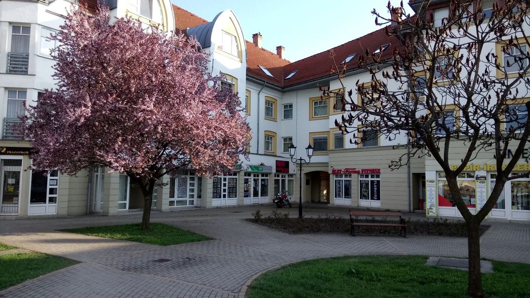 Rákóczi Apartman Sárospatak (1)