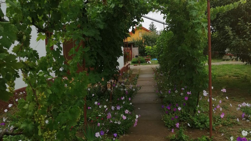 Julika Üdülőház Cserkeszőlő (1)