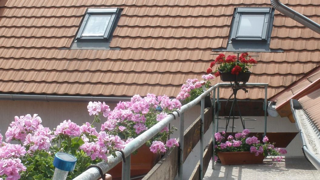 Leó Fogadó Tapolca (1)