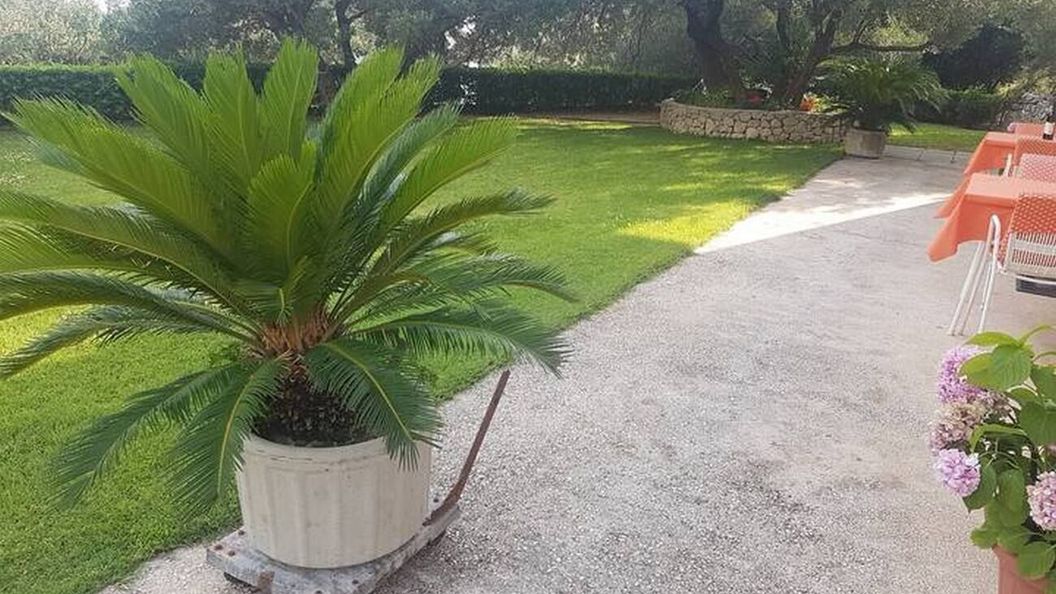 Apartmanok Parkolóhellyel Makarska - 6768 (1)