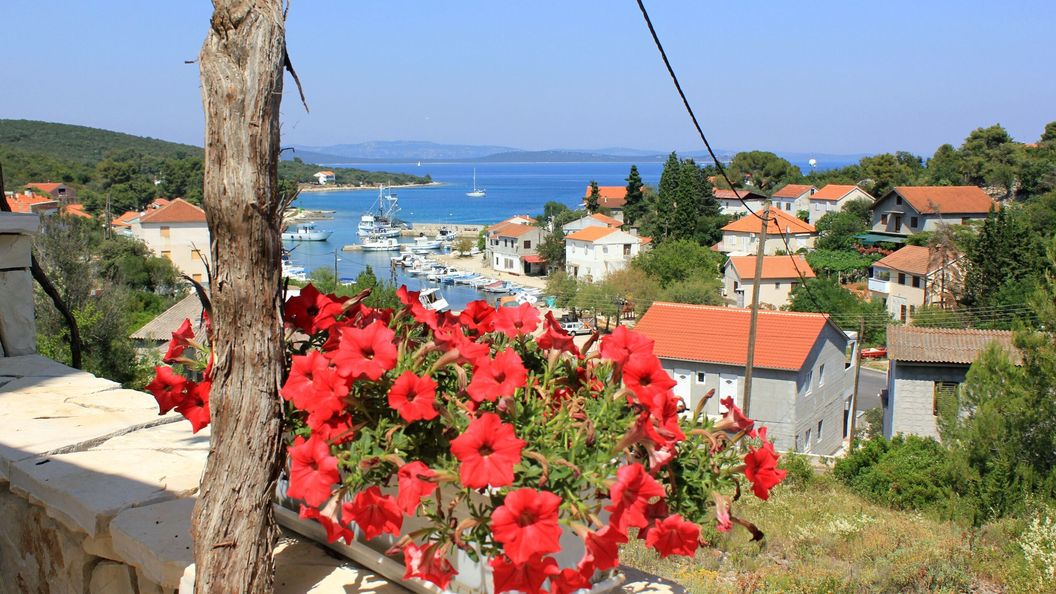 Apartmanok Internet Hozzáféréssel Zman, Dugi Otok - 887 Žman (1)