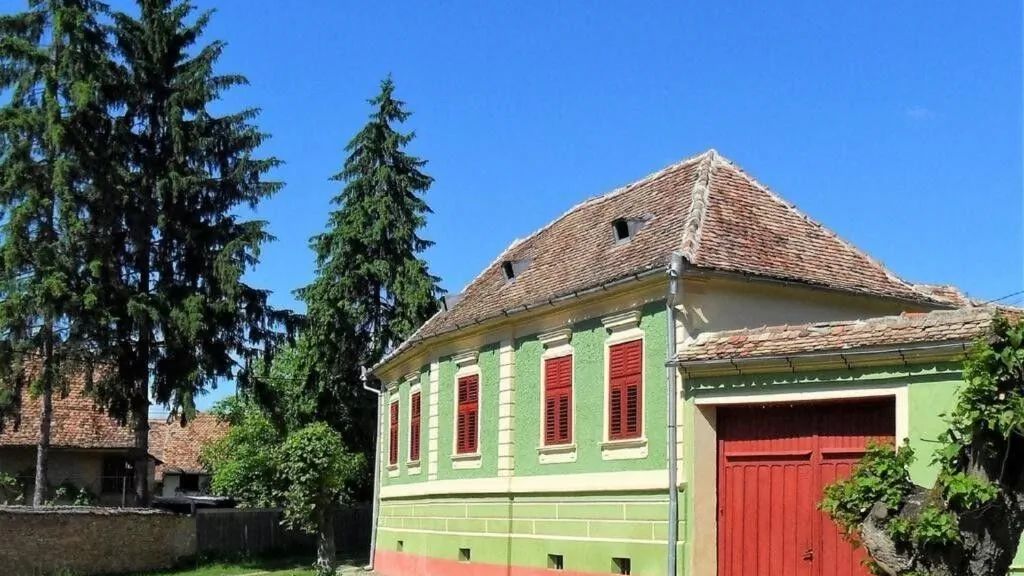 Casa de oaspeți Arthur Richiș (1)