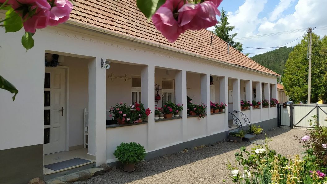 Ribizli Vintage Vendégház Parád (1)