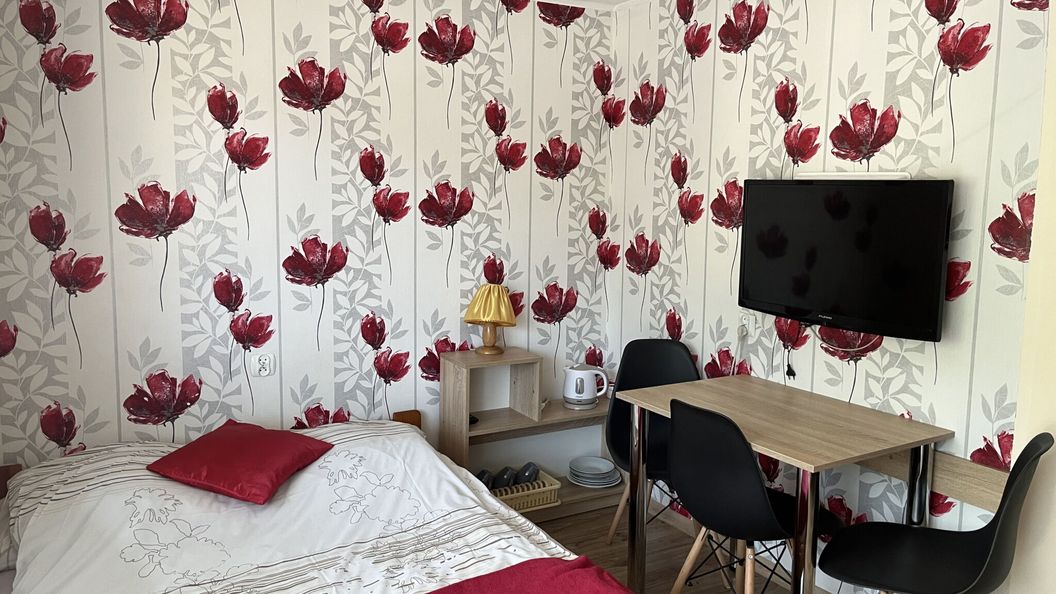 Willa Safra Szczawnica (1)