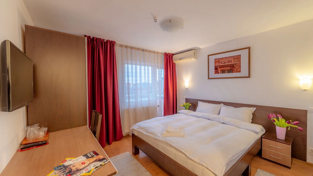 Pensiunea Cluj-Napoca (1)