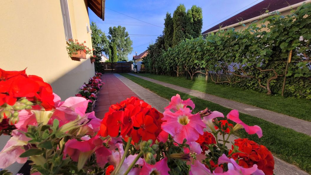 Bence Apartman Balatonlelle (1)