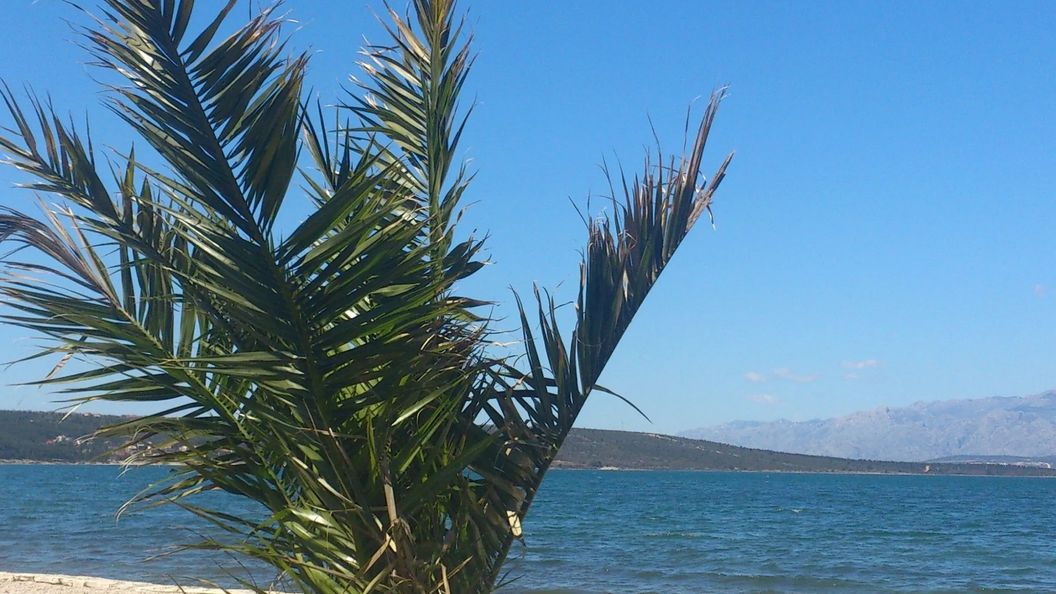 Apartmani Vlado Gornji Karin (1)