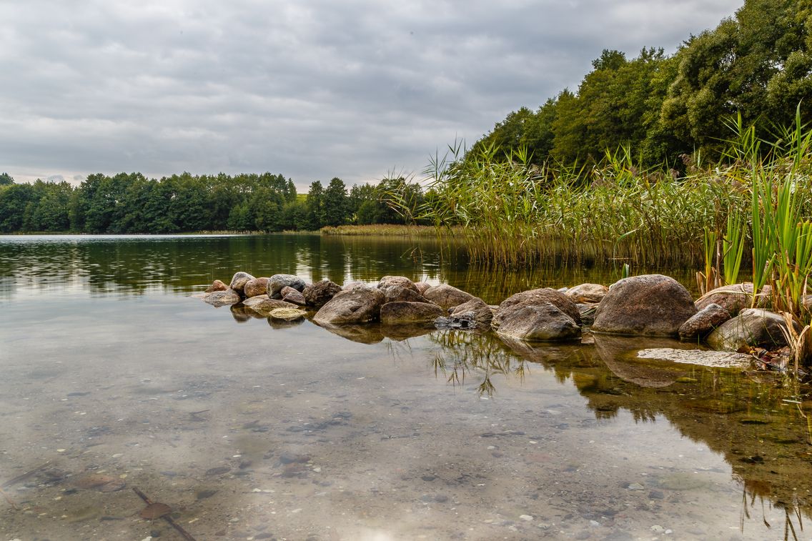 Kamienie są charakterystycznym elementem linii brzegowej