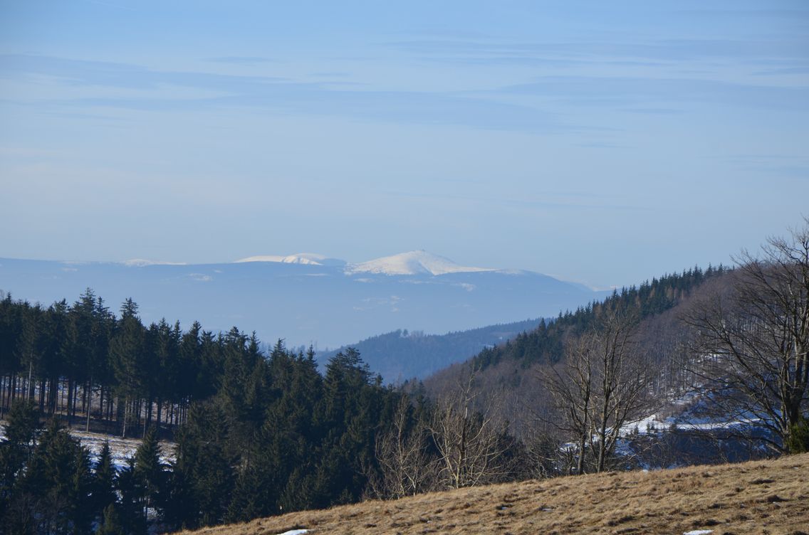 Ze wzgórza tuż przy Andrzejówce doskonale widać Śnieżkę 
