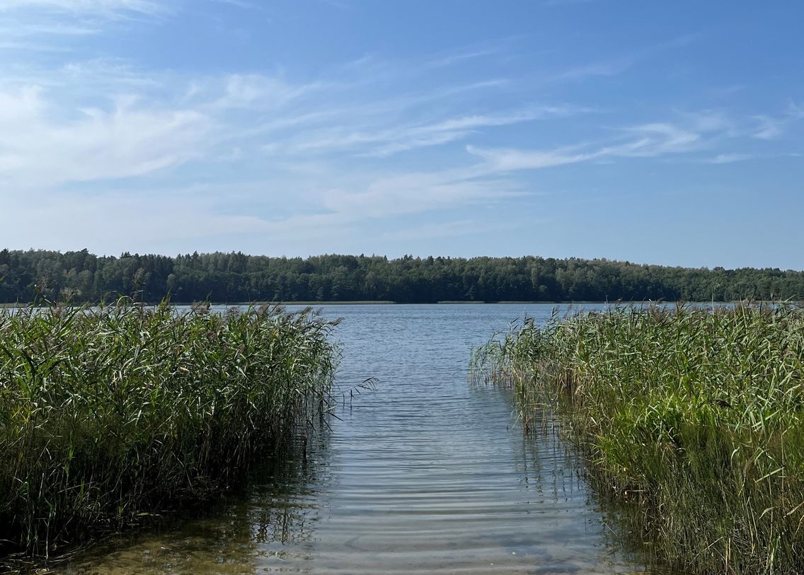 Jezioro Okrągłe w pobliżu domu w zbożu 