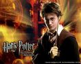 Co wiesz o Harrym Potterze ?