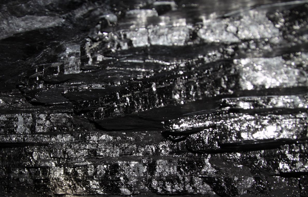 Węgiel w kopalni Łutuhynśka na terenie samozwańczej Ługańskiej Republiki Ludowej