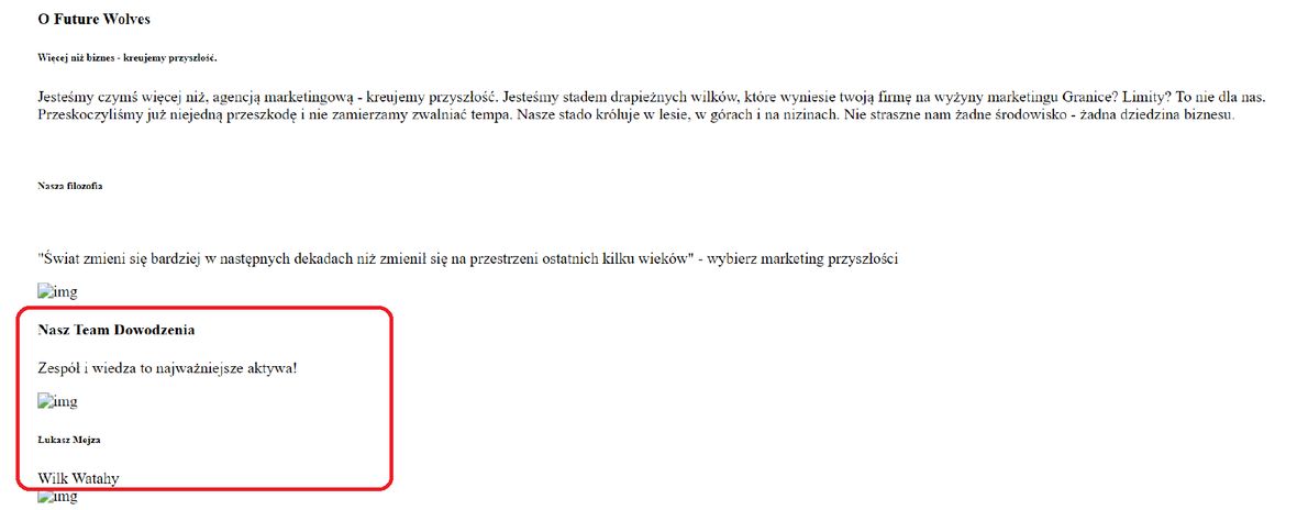 Archiwalna strona firmy Łukasza Mejzy.