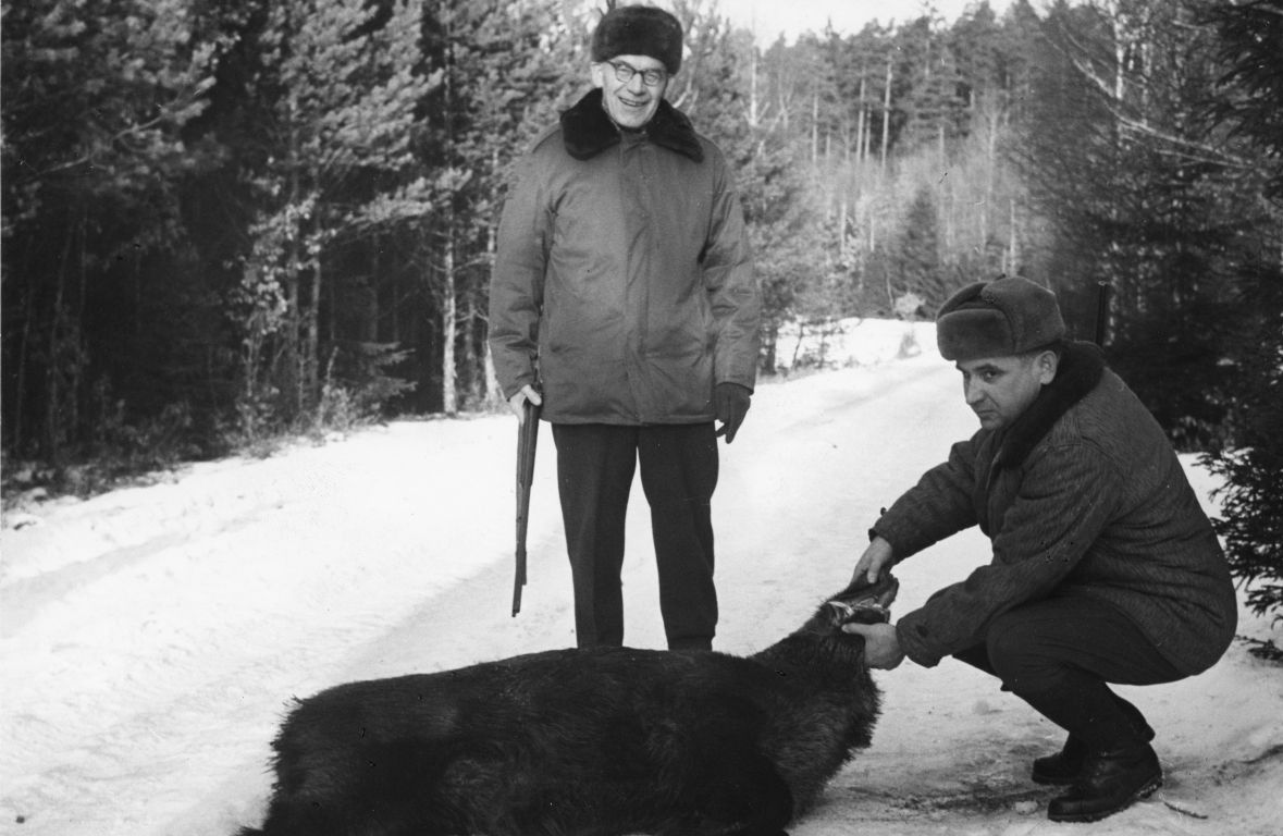 Władysław Gomułka z ustrzelonym przez siebie dzikiem. Nie było to specjalnie trudne - gdy przyjeżdżali znamienici goście, zwierzęta zwabiano w jedno miejsce