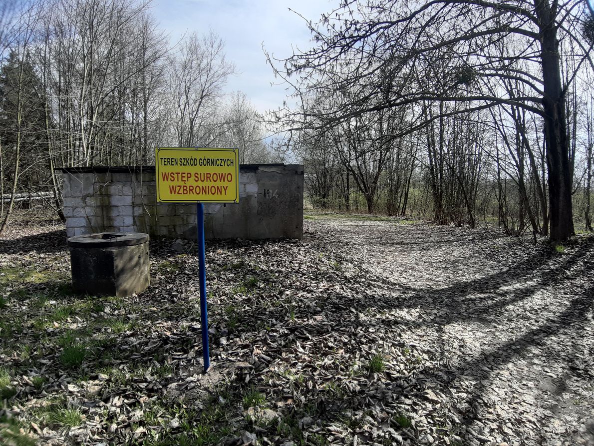 Teren szkody górniczej w Wapnie