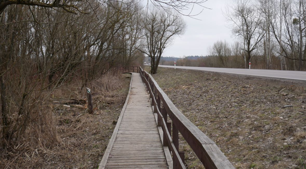 Jedna z wielu kładek w BPN prowadząca na bagna.