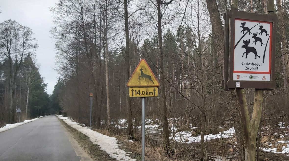 &quot;Łosiostrada! Zwolnij!&quot; - widząc taki znak, nie ma wątpliwości, że znajdujesz się w Biebrzańskim Parku Narodowym