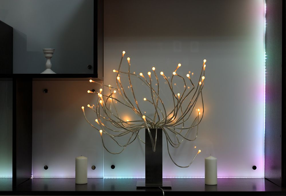 Drzewka LED. oświetlenie i ciekawy akcent dekoracyjny - WP Dom