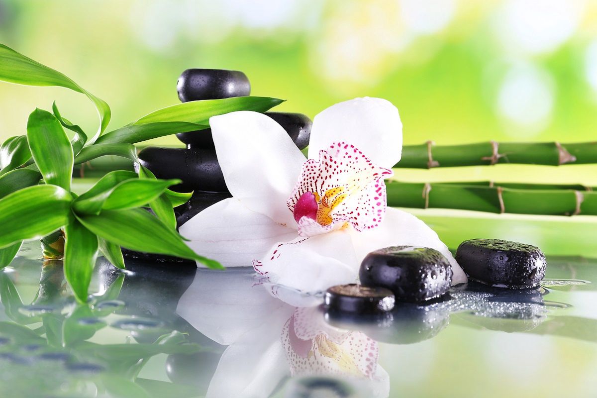spa