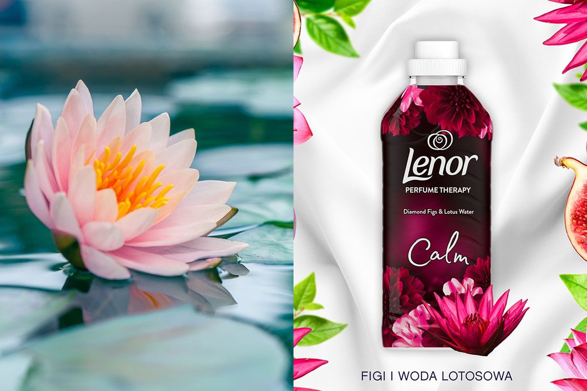 LENOR DIAMOND FIGS & LOTUS WATER