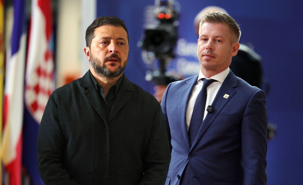 Zelenskyy asks Poland, Hungary, Slovakia and Romania for grain transit