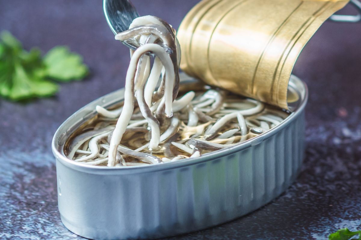 Angulas: Spanish delicacy priced at 30,000 zloty per kilogram