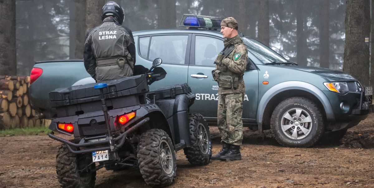 Straż Leśna zapowiada jesienne kontrole w polskich lasach
