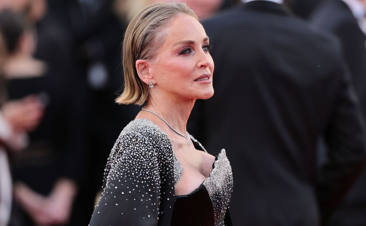 Sharon Stone o celibacie: szukam towarzysza, nie tylko partnera seksualnego