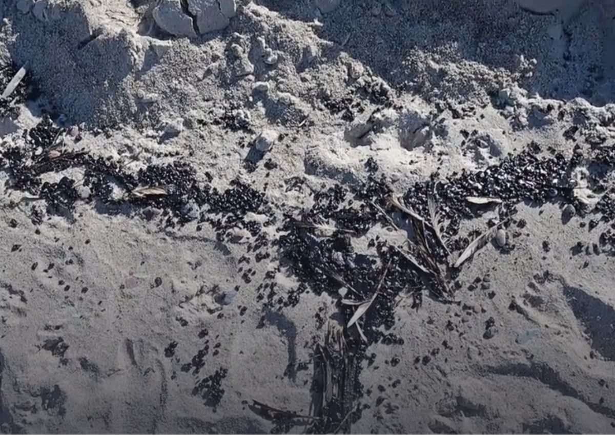 Oil on Baltic beaches: Ustka closed as German media takes notice