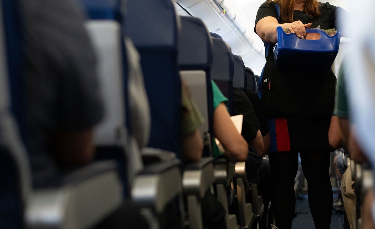 Southwest Airlines flight attendant sues airline over animal fur allergy