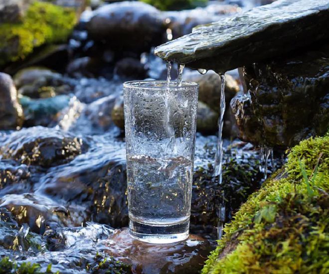 Z głębin do butelki. Jaką drogę przebywa woda źródlana, zanim trafi na nasze stoły? | WP abcZdrowie