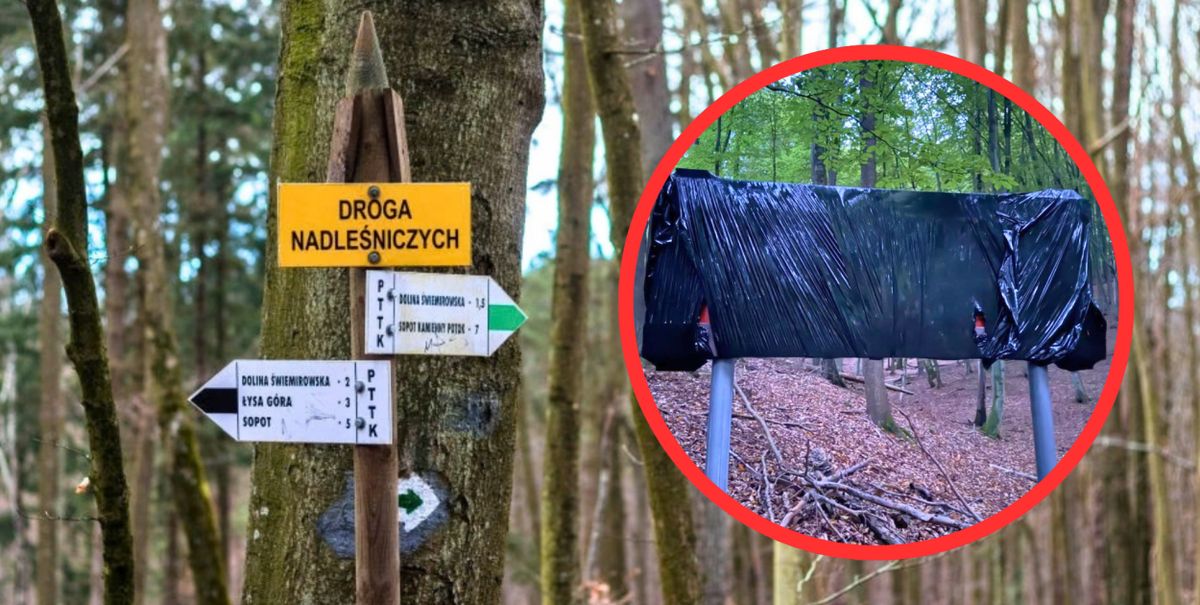 Tablice rezerwatu „Lasy Sopockie” zawisły w lesie przed oficjalnym powstaniem rezerwatu